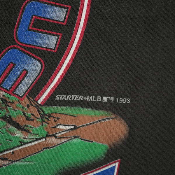 Vintage 1993 Starter Philadelphia Phillies NL Champions T-shirt, black, size L — photo 2 of 5